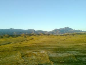 Aux alentours de Msila