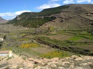 Une Forêt Montagneuse aux alentours de Msila