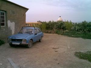 Près de Ouled Buakr (Msila)