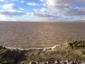 Chott El Hodna à Msila