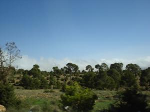 Sur la route vers Ain Ghrab