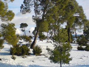 Neige sur les Montagnes de Msila