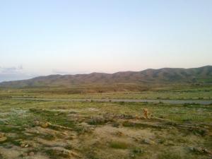Paysage aux alentours de Msila