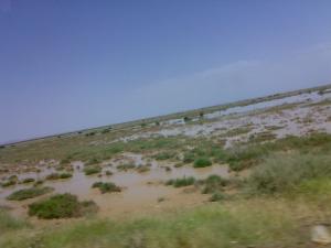 Une Sebkha aux alentours de Msila