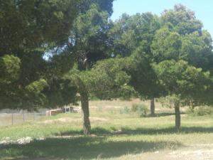 Paysage de Ain-Oghrab / Côté CEM   Bilal Ibn Rabah