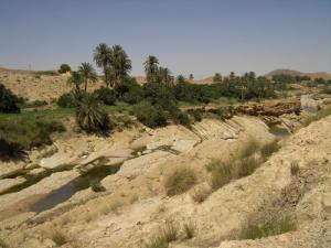 L'oued de Bou-Saada