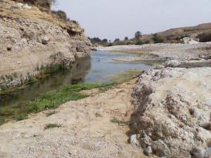 Un Fleuve de Msila