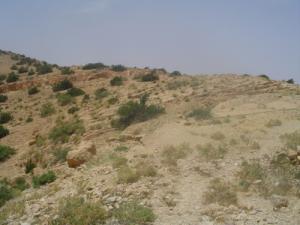 Paysage Semi Saharien à Msila