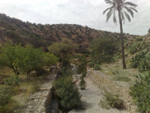 Les Jardins de Takouka (Wilaya de Msila)