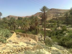 Jardins de Takouka (Wilaya de Msila)