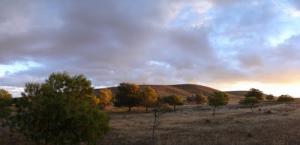 Mergueb la réserve (Wilaya de Msila)