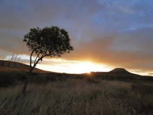 La Montagne Saoula dans la région de Mergueb (Wilaya de Msila)