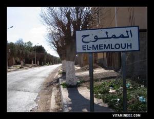 مدخل قرية  المملوح