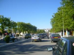 شوارع مدينة  سطيف