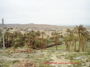 Palmeraie d'El Hadjeb (Commune de Ouled sidi Brahim)