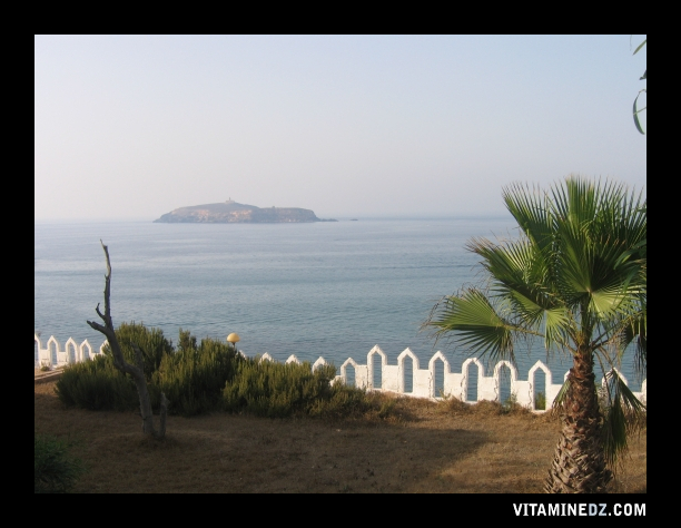 صورة مأخوذة من المجمع السياحي لشاطئ