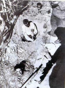 اذا الشعب يوما اراد الحياة فلا بد للقدر ان يستجيب