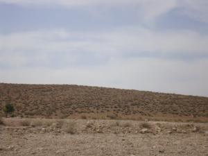 Paysage d'El Mergueb