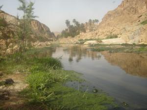 Passage du Oued de Bou Saada
