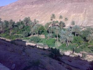 Une Palmeraie longeant le Oued de Bousaada