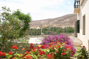 Jardin d'Entrée à l'Hôtel Bousaada