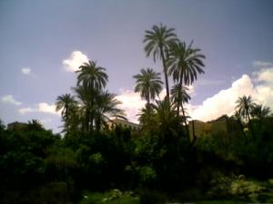 Près du Oued Bousaada