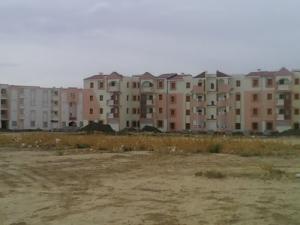 Aux abords de Berhoum