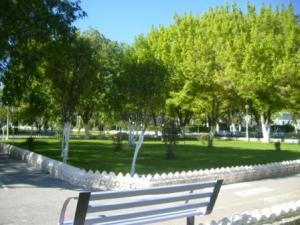 مساحات خضراء بحديقة التسلية لمدينة  سطيف  (2)