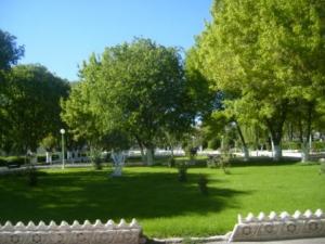 مساحات خضراء بحديقة التسلية لمدينة  سطيف  (3)