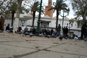 المسجد العتيق لمدينة تلمسان (1)