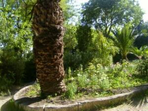 حدائق مدينة  سطيف