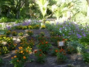 حدائق مدينة  سطيف  (5)