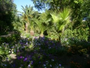 حدائق مدينة  سطيف  (6)