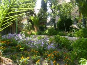 حدائق مدينة  سطيف  (8)