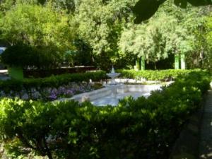 حدائق مدينة  سطيف  (9)