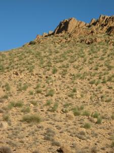 Les Montagnes de Ben S'rour