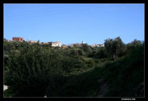 منظر شامل لمدينة  عين كبيرة  (1)