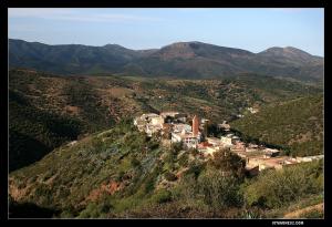 الزاوية الطيبية لقرية  سيدي بن عمر