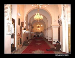 منظر داخلي للمسجد الكبير لمدينة  تلمسان  (1)