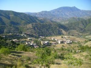 منظر من ضواحي قرية  المروج