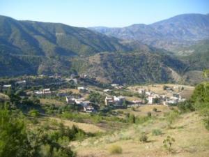 منظر من ضواحي قرية  المروج  2