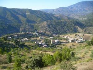 منظر من ضواحي قرية  المروج  4