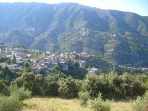 منظر من ضواحي قرية  المروج  6