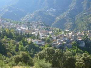 منظر من ضواحي قرية  المروج  8