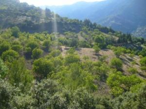 منظر من ضواحي قرية  المروج  12