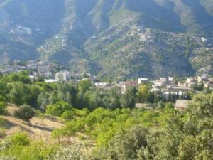 منظر من ضواحي قرية  المروج  13