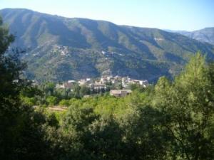 منظر من ضواحي قرية  المروج  15