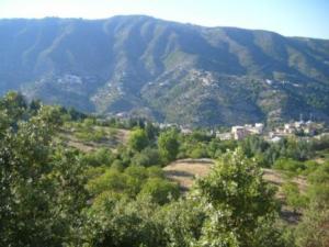 منظر من ضواحي قرية  المروج  20