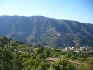 منظر من ضواحي قرية  المروج  21