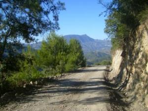 منظر من ضواحي قرية  المروج  23